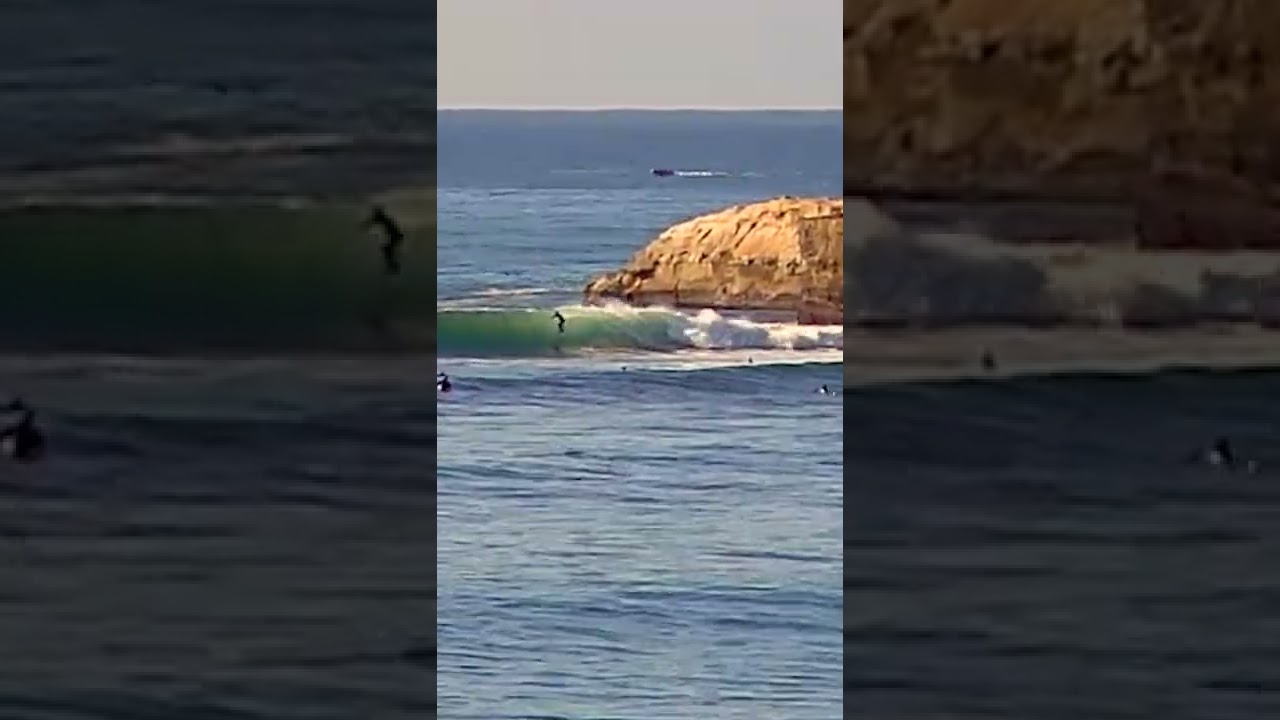 Clips