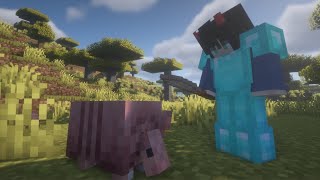 Cute Scutes | Calamity Craft #36 (Minecraft SMP)
Welcome to the Calamity Craft SMP! This is a series where my friends and I must do everything there is to do in Minecraft! In this episode, we take refuge in an acacia village and I collect some armadillo scutes!
Next episode: https://youtu.be/m8KLxI5mSfU
People in the video:
AJ: https://linktr.ee/MyNameIsAJ
Sapphic: https://www.youtube.com/@sapphic_spidy3207
Dexor: https://www.youtube.com/@dexor_
Jester: https://www.youtube.com/@JackofcardsYT
Impact: https://www.youtube.com/@redimpact7034
Music in the video:
https://youtu.be/d6yNmHknhtM?si=ljDd86VtQ745ziID
https://youtu.be/SHvhps47Lmc?si=k5Xel0jtFCqHw1Hq
#Minecraft #CalamityCraft #SMP Cute Scutes | Calamity Craft #36 (Minecraft SMP)