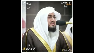 فضيلة الشيخ بندر بليلة ما تيسر من سورة البقرة