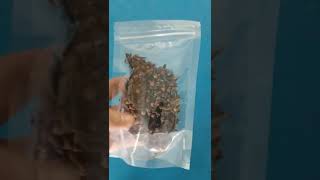 Samfull masala spice doypack machine