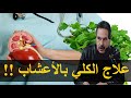 تعرف على الأعشاب التي تحمي الكلي من الأمراض الدكتور جمال الصقلي 