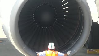 スカスカな松山空港で録音 B767-300ER ANA JA610A CF6-80-C2B2 着陸〜エンジン停止 ホンダジェットも 20200809