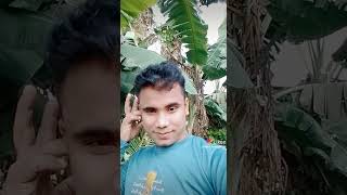 Download Mp3 O Amar Jaan Pakhi Gudang lagu Download Mp3 O Amar Jaan Pakhi