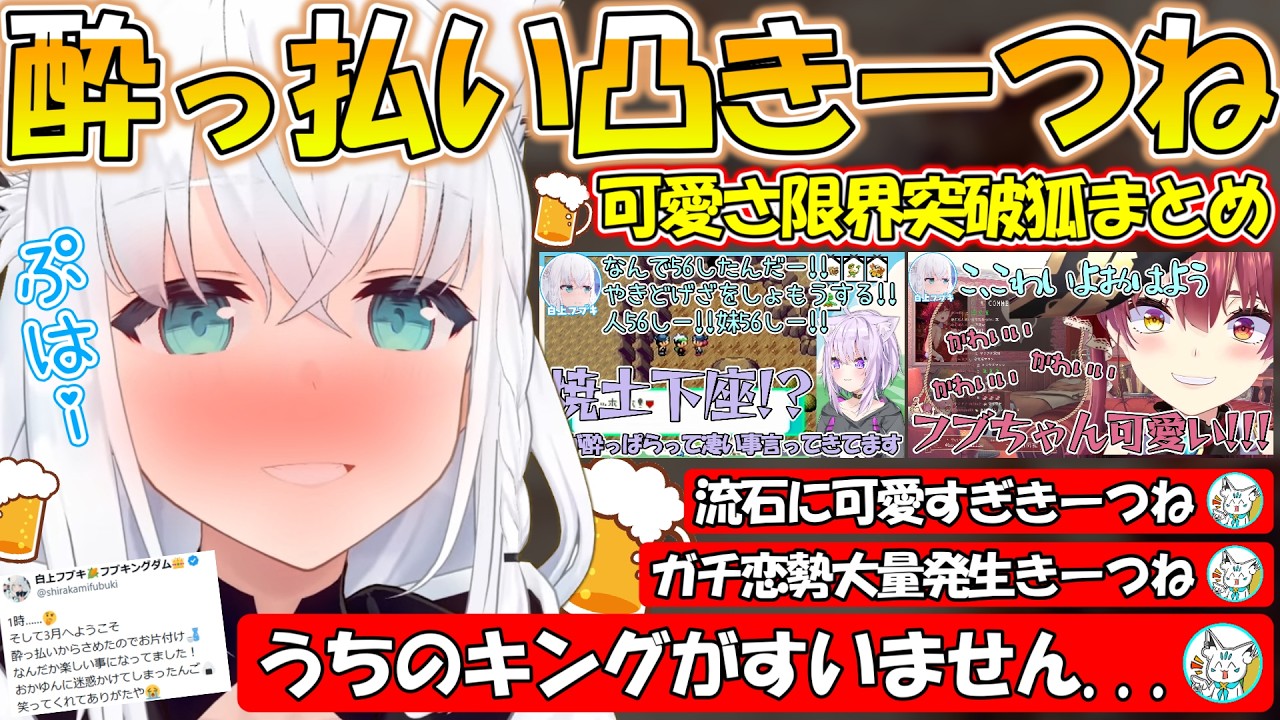 【ガチ恋勢量産!?】ホロメンに酔っ払い凸する可愛すぎるフブさんまとめ!!【#白上フブキ 】【#切り抜き 】