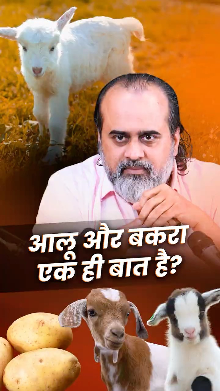 आलू और बकरा एक ही बात है? || आचार्य प्रशांत