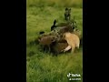 شيله الفزعه اسد