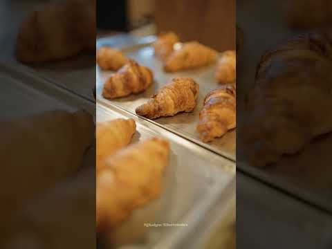 Unox Oven: The Ultimate Cooking Experience for Bakers and Commercial Use