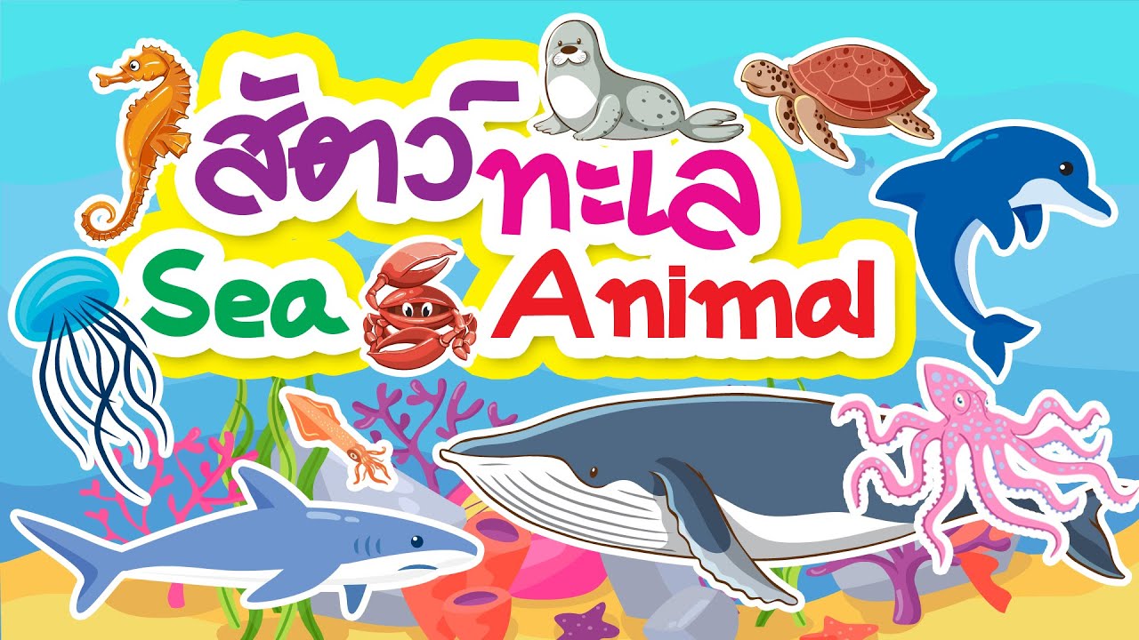 สัตว์น้ำ สัตว์ทะเล น่ารู้ sea animal