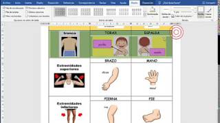 WORD - TABLAS Y LA DISTRIBUCION DE IMAGENES