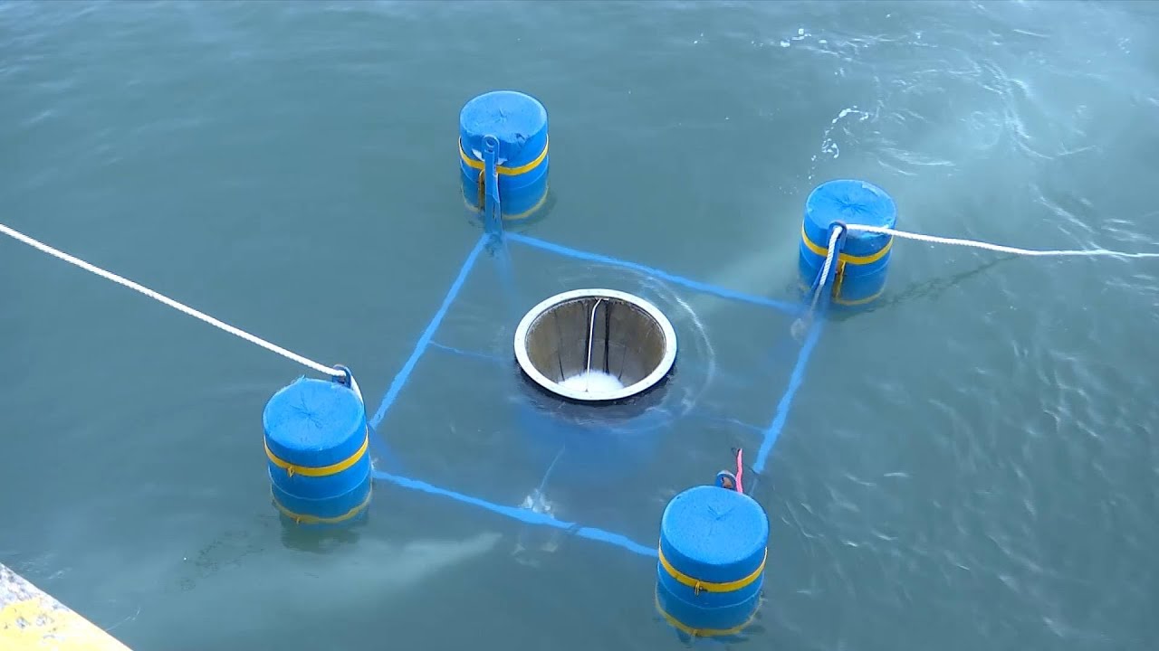 GLOBALink | Automatic marine trash cans put into use in north China port