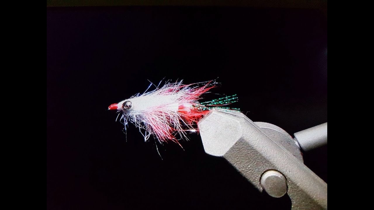 Sehr gute Meerforellenfliege binden. Unterwasseraufnahmen, Fliegenbinden,Fliegenfischen