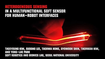 Heterogeneous Sensing in a Multifunctional Soft Sensor for Human-Robot Interfaces