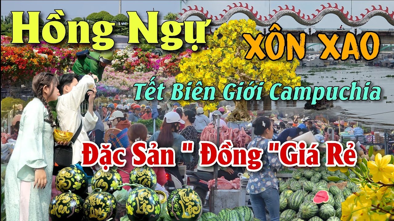 CHỢ HOA TẾT BIÊN GIỚI ĐỒNG THÁP 2026 HỒNG NGỰ  