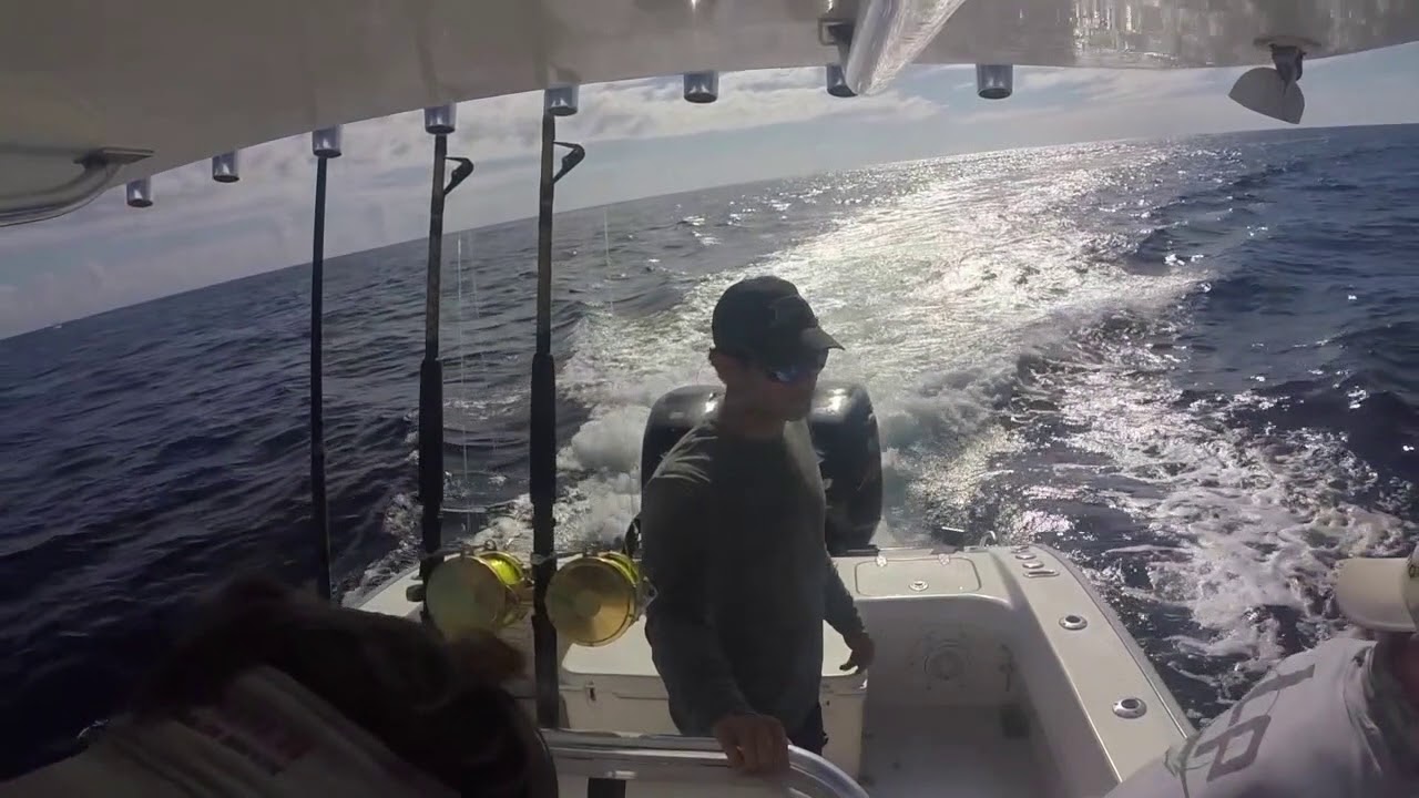High Speed wahoo fishing 