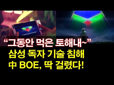 &quot;그동안 먹은 토해내~&quot; 삼성 독자 기술 침해~ 中 BOE, 딱 걸렸다!