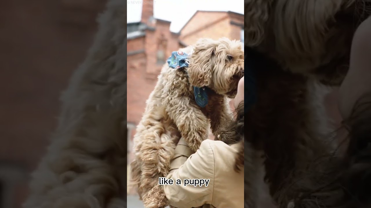 I love dogs. / inspirational quotes