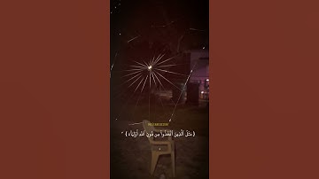 ان اوهن البيوت لبيت العنكبوت | حالات واتس | قرآن كريم 🍃🌿