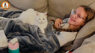 The Cat no One Could Touch…Until My Daughter Showed Up.