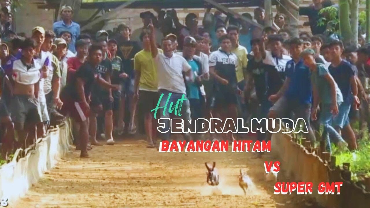 NEW LAGA SERU!!! RABBIT RACE/KERAPAN KELINCI JADDIH 