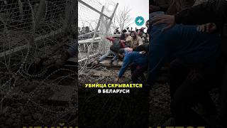 Убийца польского военного прячется в Беларуси? #маланка #новости #беларусь