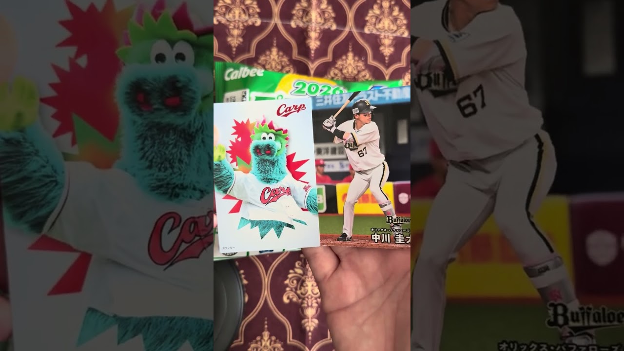 2026 Professional Baseball Chips Series 2] Opening 6 packs gotten