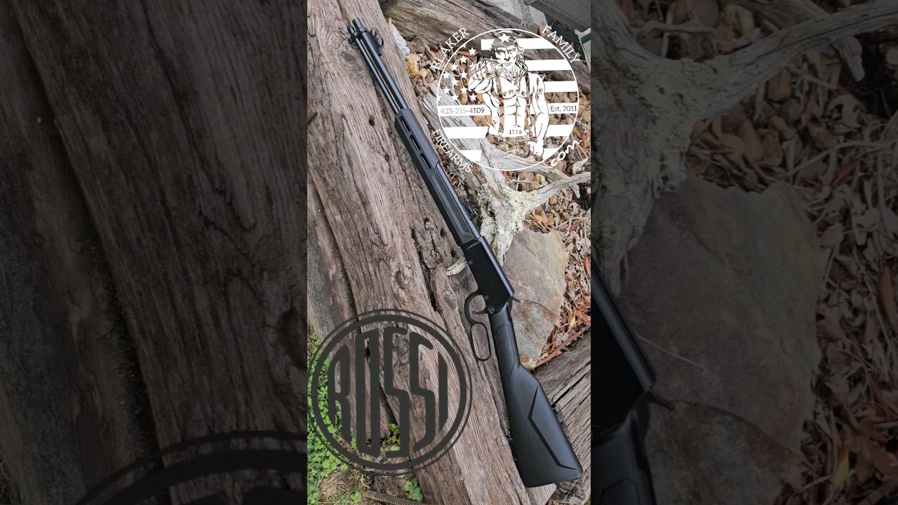 The Rossi Rio Bravo 22 LR Lever Action Rifle up Close