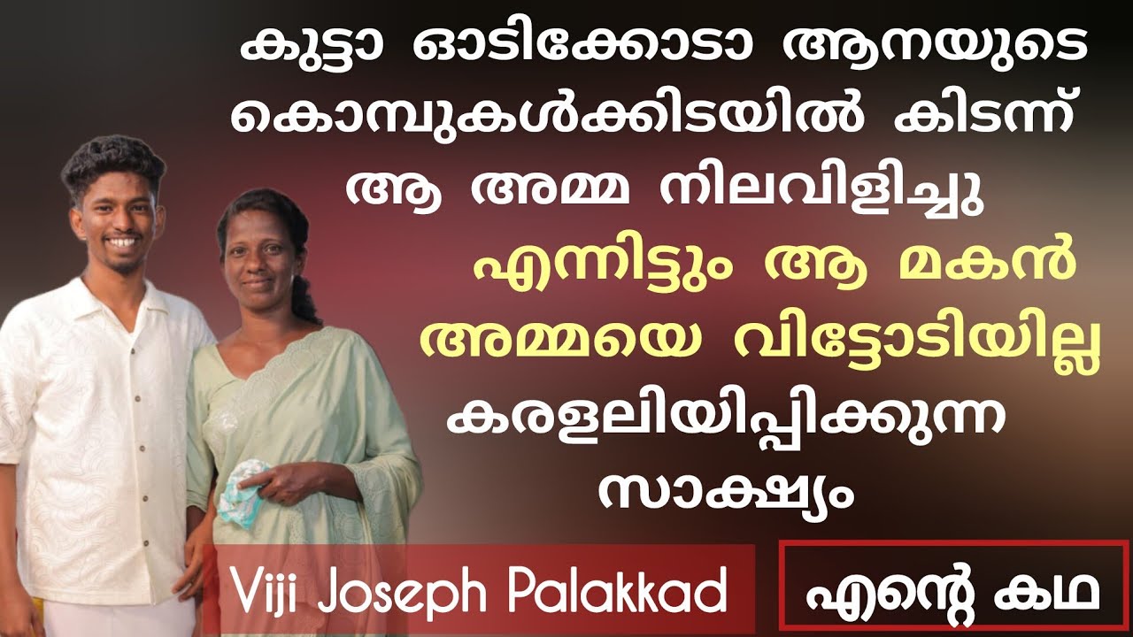 മുണ്ടൂരിൽ ആനയുടെ കുത്തേറ്റ് മരിച്ച അലൻ മോൻ്റെ കഥ Testimony Sr Viji Joseph Palakkad