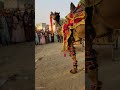Camel Dance Dancemusic Viraldance Dancesong Viraldance Camels 