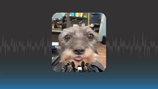 Skibidi Sigma Pomni Digital Fortnite - Funny MEME Sound Effect
Sound Effect Library is where you can find the sound effects you need. Subscribe to my channel and Like this video
All sound effects in my channel are free to use!! (some sound effects with music behind them can have copyright if nothing is written then it is free to use.)
💿DOWNLOAD LINK HERE: https://drive.google.com/file/d/1AV0-C52VxfCi22Ub_GWhoDa4eI2Rul-3/view?usp=sharing
★━━━━━━━━━━━━━━━━━━━━★
OUR WEBSITE IS WHERE YOU CAN DOWNLOAD SOUND EFFECTS FOR FREE
👉 https://soundeffectlibrary.wixsite.com/sound-effect-library
(Not every Sound Effect is on our Website. Some Sound Effects are just here. But at the same time, the Website has sound effects that you cant find here. So check it out.)
★━━━━━━━━━━━━━━━━━━━━★
PS: All sound effects on my channel do not belong to me. But that in no way means that I stole them. I search for them on the Internet and for people who need them, I share them more easily for them to find them.
If you want to support my channel and my efforts, please dont forget to like and subscribe. Skibidi Sigma Pomni Digital Fortnite - Funny MEME Sound Effect