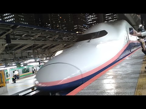 E4系MaxラストランMaxたにがわ411号東京駅入線  Series E4 Max Last Run MAX TANIGAWA No. 411 entering Tokyo Station