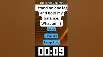 "Can You Solve This Riddle Before Time Runs Out? ⏳🧠 | #Shorts"