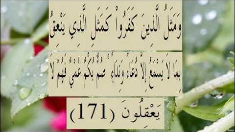 القران الكريم سورة البقرة الاية 171