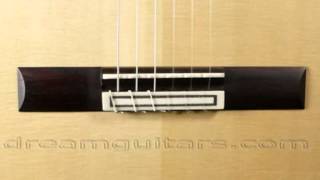 Traphagen Concert Classical Double Top Brazilian/Swiss at Dream Guitars