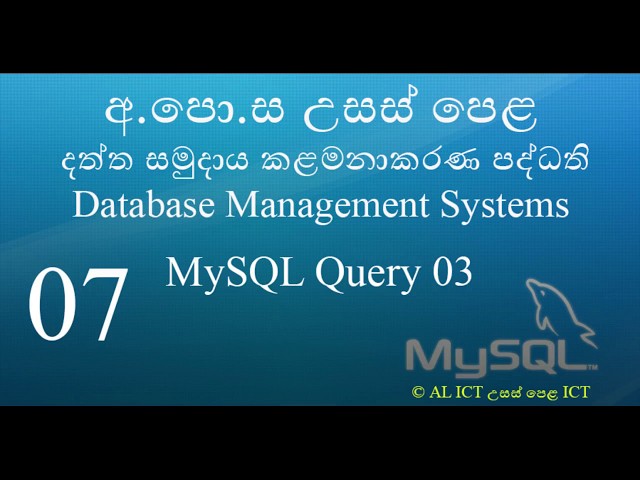 07 - Database Query 03