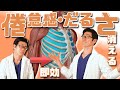 【スッキリ】だるさ・倦怠感、不眠、便秘、イライラを改善するストレッチ【自律神経】
