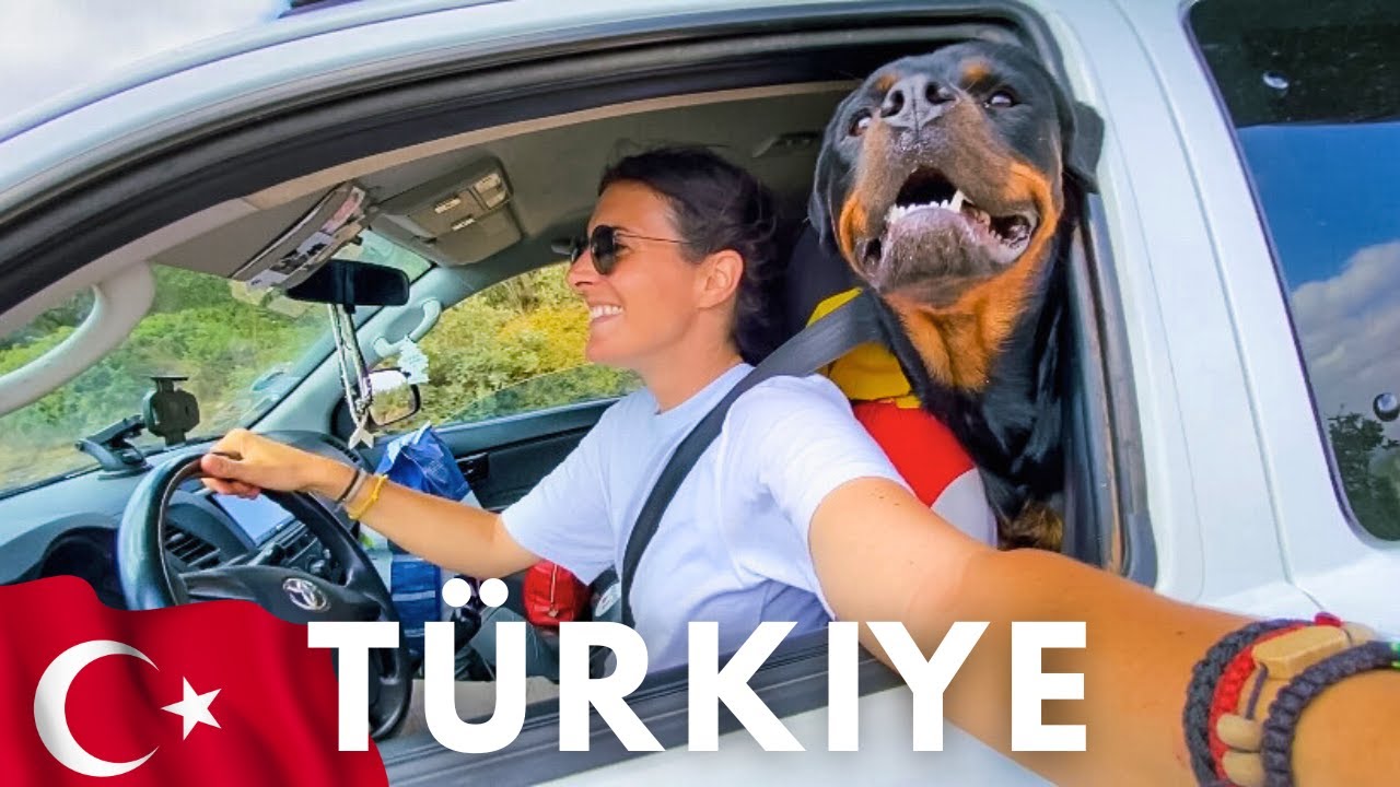 I enter Türkiye with my rottweiler and my Toyota Hilux
