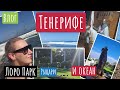 ВЛОГ/#ЛАС_АМЕРИКАС ТЕНЕРИФЕ//ЦЕНЫ НА ПАРФЮМЕРИЮ/ПЬЯНОЕ ПРОЩАНИЕ/#vlog #CASTILLO_SAN_MIGUEL #TENERIFE