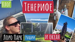 ВЛОГ/#ЛАС_АМЕРИКАС ТЕНЕРИФЕ//ЦЕНЫ НА ПАРФЮМЕРИЮ/ПЬЯНОЕ ПРОЩАНИЕ/#vlog #CASTILLO_SAN_MIGUEL #TENERIFE