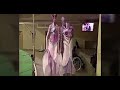 Смотрите быстрее! Очень редкое видео с пришельцами в Московской больнице!!! Малахов по телевизору