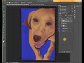 Two Great Ways to Create Masks in Photoshop