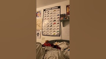 Perfect loop? #loop #funny #satisfyingloop #endlessloop #perfectloop #like #fypシ゚viral #fyp #viralso