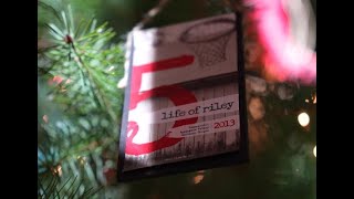 Red Lily : All in the family