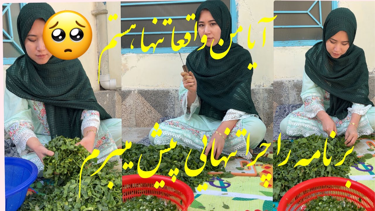 گفته های گل ریحان از پشت صحنه😊