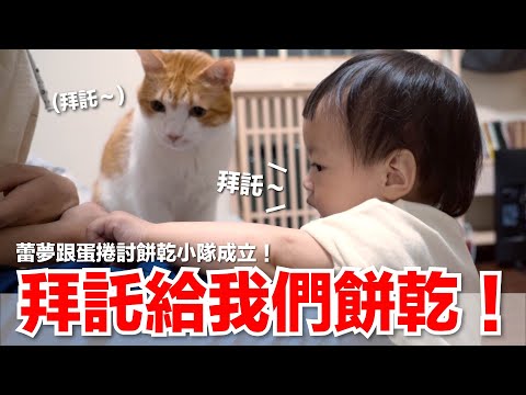 【好味小姐】拜託給我們餅乾｜好味貓日常EP125