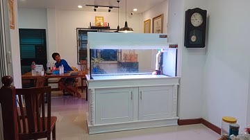 เชฟ A - งานนำส่งตู้ปลา 60 24 24 (แปลงร่างจากมือ 2 ให้สวยเช้ง) กรองบนพร้อมงานระบบ O4FS Set 3