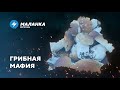 📍Грибная мафия / Единение по разнарядке / Зарплата ветошью