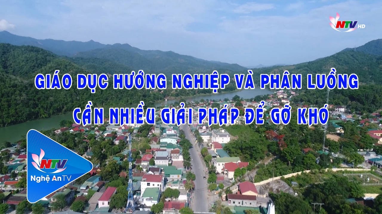 Giáo dục hướng nghiệp và phân luồng - Cần nhiều giải... - youtube