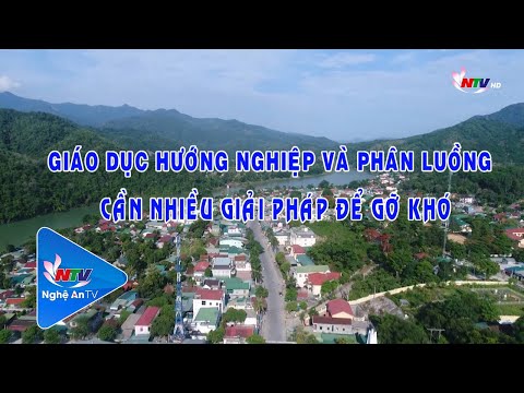 Video Giáo dục hướng nghiệp và phân luồng - Cần nhiều giải... - youtube
