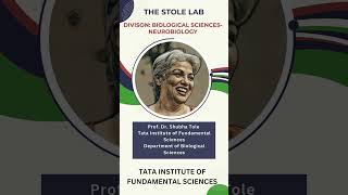 Lab Spotlight The Stole Lab