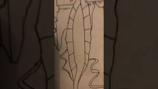 Annotating Throne of Glass by Sarah J Maas #art #drawing #books #annotations #annotate #annotation